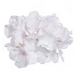 HORTENSJA GŁÓWKA 15CM SUN644 PEARL LT PINK