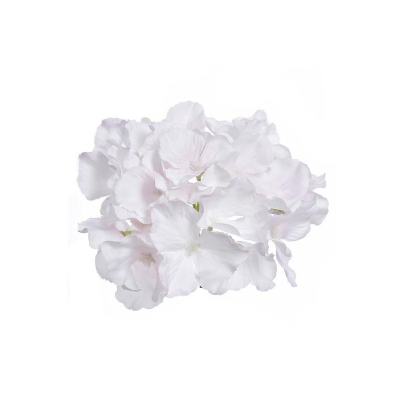 HORTENSJA GŁÓWKA 15CM SUN644 PEARL LT PINK