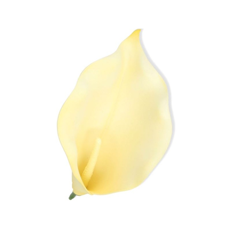 CALLA PIANKA GŁOWA H:22CM / 0055 CREAM YELLOW