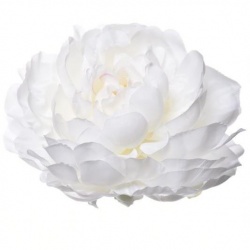 PEONIA WYROBOWA 15CM SUN406 ICE CREAM