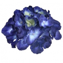 Hortensja główka 15cm sun644 navy blue