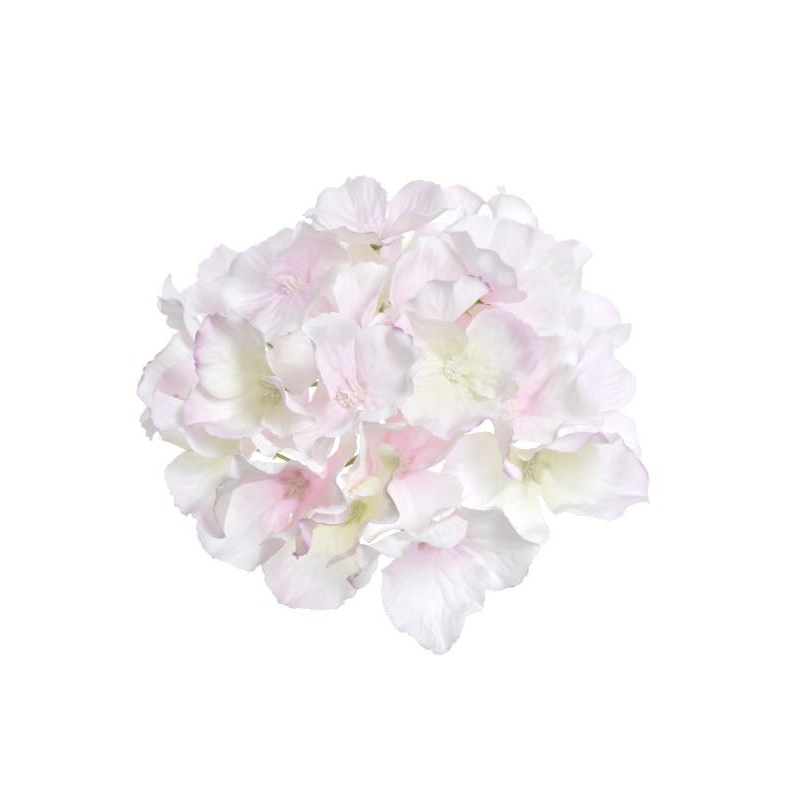 HORTENSJA GŁÓWKA 15CM SUN644 CREAM POWDER PINK