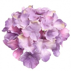 HORTENSJA GŁÓWKA 15CM SUN644 LAVENDER