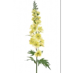 OSTRÓŻKA POJ. 72CM SUN498 YELLOW EDGE PINK