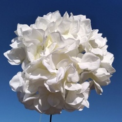 Hortensja głowa 20cm my83 pure white