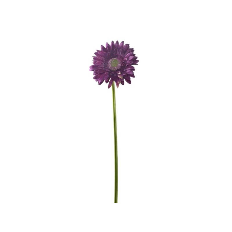 GERBERA POJEDYNCZY 47CM  SUN529 PLUM