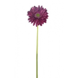 GERBERA POJEDYNCZA 47CM  SUN529 BURGUNDY