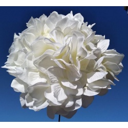 Hortensja głowa 20cm my83 pure white