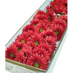 GERBERA POJEDYNCZY 47CM  SUN529 RED