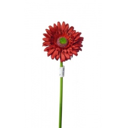 GERBERA POJEDYNCZY 47CM  SUN529 RED