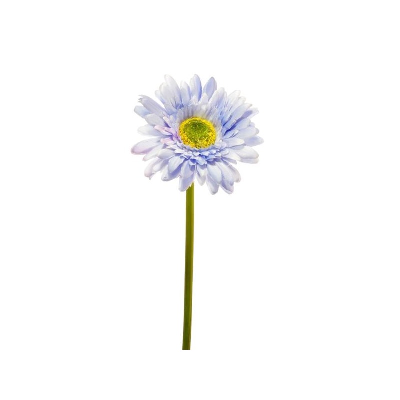 GERBERA POJ 47cm  SUN529 LT. BLUE