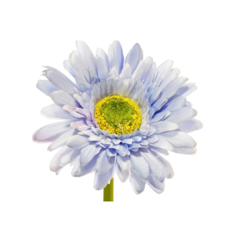 GERBERA POJ 47cm  SUN529 LT. BLUE