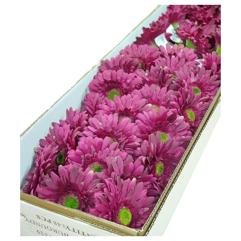 GERBERA POJEDYNCZA 47CM  SUN529 BURGUNDY