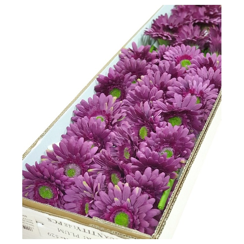 GERBERA POJEDYNCZY 47CM  SUN529 PLUM