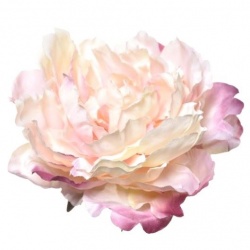 PEONIA GŁOWA 17CM ART060 PEARL PINK EDGE BEAUTY