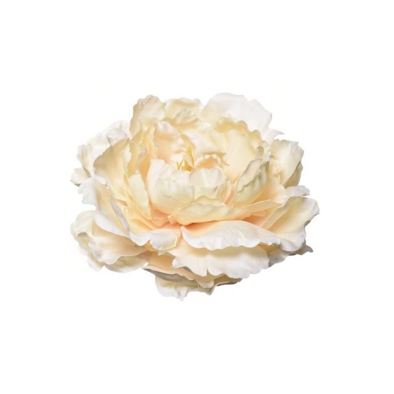 PEONIA GŁOWA 17CM ART060 VANILLA