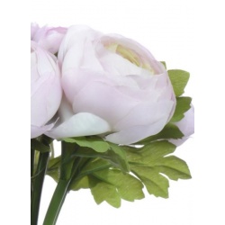 Ranunnculus duzy x9 bukiet