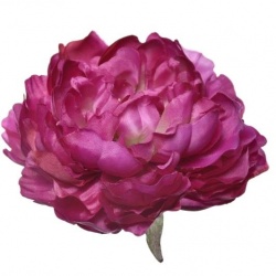 PEONIA WYROBOWA 15CM SUN406 DEEP FUCHSIA