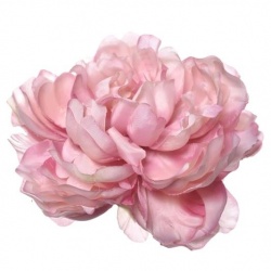 PEONIA WYROBOWA 15CM SUN406 MAUVE EDGE PINK