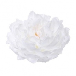 PEONIA WYROBOWA 15CM SUN406 CLEAR WHITE