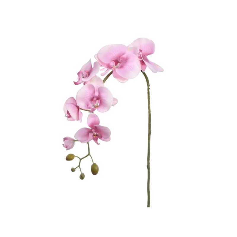 STORCZYK PHALAENOPSIS 98CM SUN315 DEEP PINK