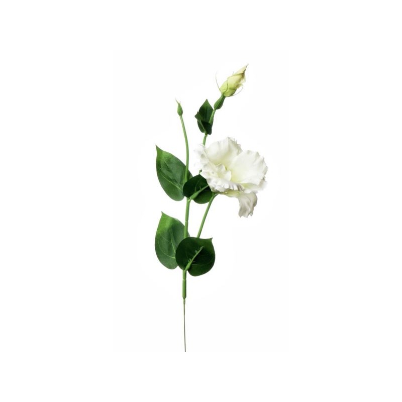 EUSTOMA NA PIKU 47CM SUN357 WHITE