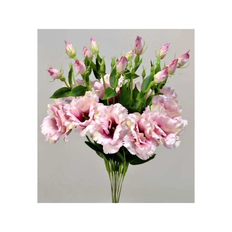 EUSTOMA NA PIKU 47CM SUN357  DEEP PINK