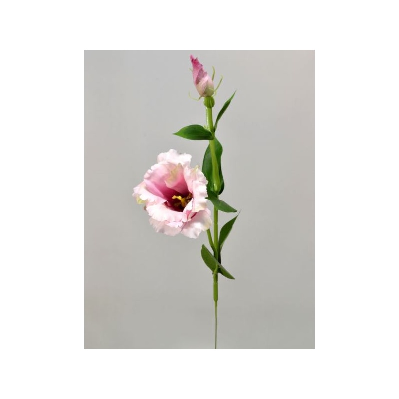 EUSTOMA NA PIKU 47CM SUN357  DEEP PINK