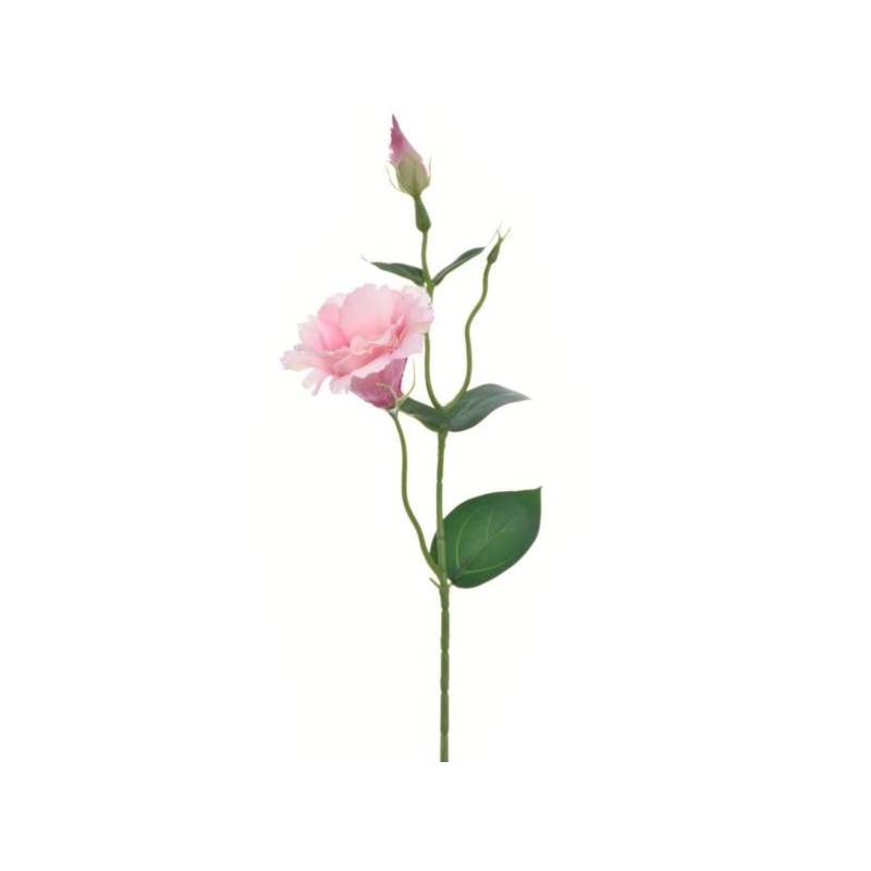 EUSTOMA NA PIKU 47CM SUN357  DEEP PINK