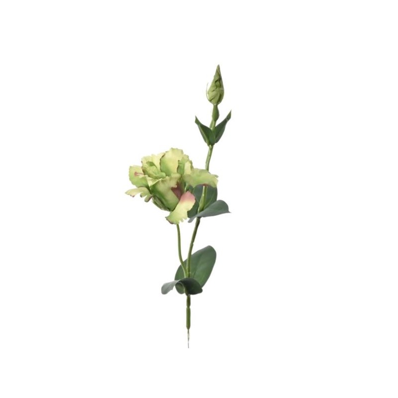 EUSTOMA NA PIKU 47CM SUN357 GREEN BURN COFFE