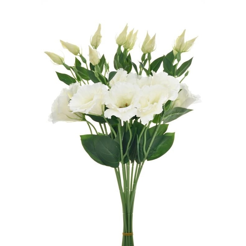 EUSTOMA NA PIKU 47CM SUN357 WHITE