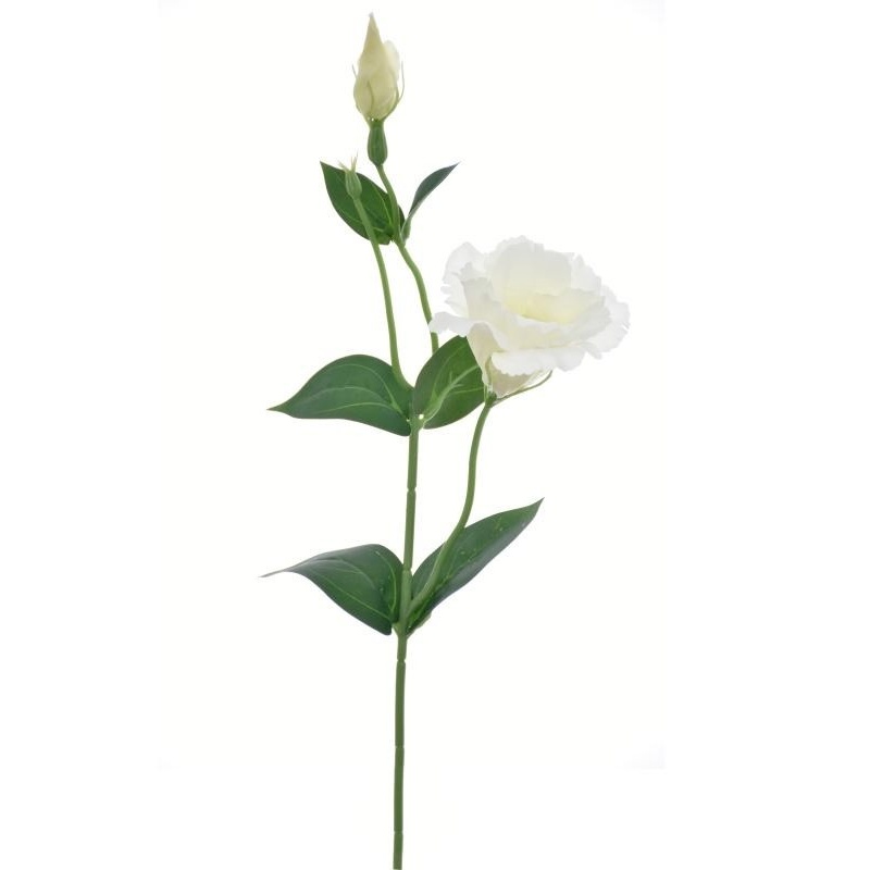 EUSTOMA NA PIKU 47CM SUN357 WHITE