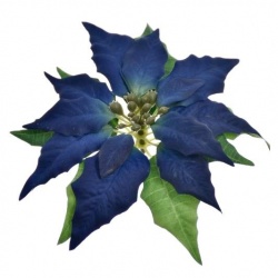 POINSECJA GŁOWA VELVET 18CM SUN715 BLUE VIOLET