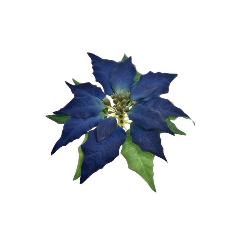POINSECJA GŁOWA VELVET 18CM SUN715 BLUE VIOLET POINSECJA GŁOWA VELVET 18CM SUN715 BLUE VIOLET