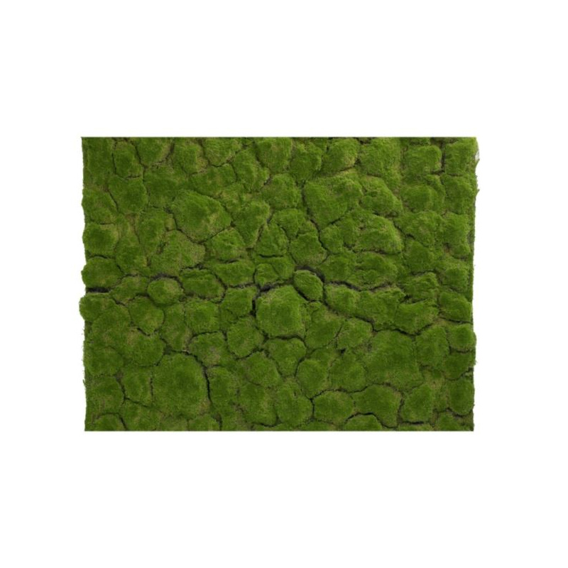 MATA MECH MOSS LAWN 100CMX100CM 0016 GREEN