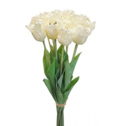 TULIPAN POJEDYNCZY 50CM ART260 CREAM