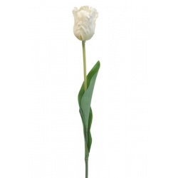 TULIPAN POJEDYNCZY 50CM ART260 CREAM