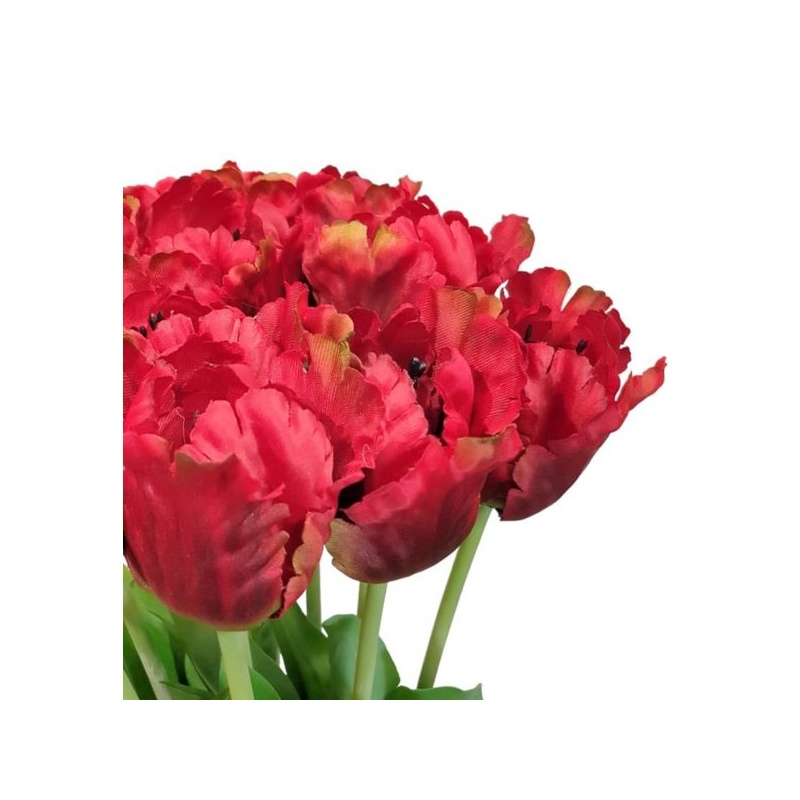 TULIPAN POJEDYNCZY 50CM ART260 RED