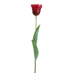 TULIPAN POJEDYNCZY 50CM ART260 RED