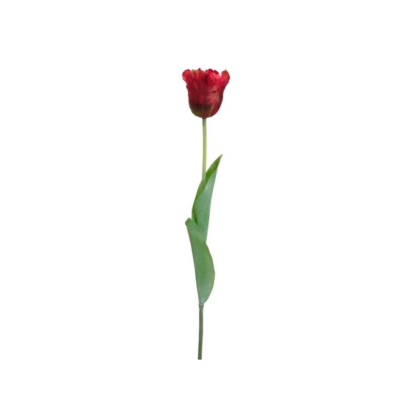 TULIPAN POJEDYNCZY 50CM ART260 RED