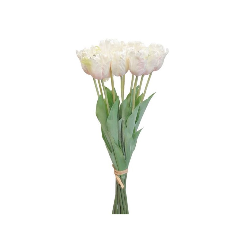 TULIPAN POJEDYNCZY 50CM ART260 CREAM EDGE PINK