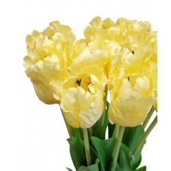 TULIPAN POJEDYNCZY 50CM ART260 LEMON