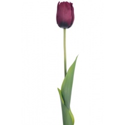 TULIPAN POJEDYNCZY 48CM ART258 BURGUNDY