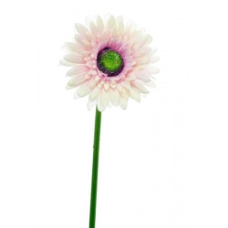 GERBERA POJEDYNCZA 47CM SUN529 POWDER PINK