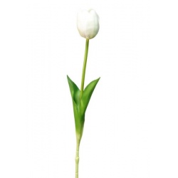 TULIPAN PIANKOWY - ŁODYGA GUMA 42CM WHITE