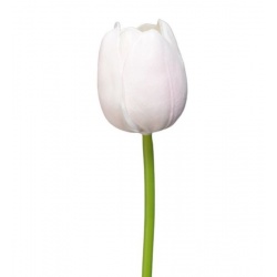 TULIPAN PIANKOWY - ŁODYGA GUMA 42CM LT POWDER PINK