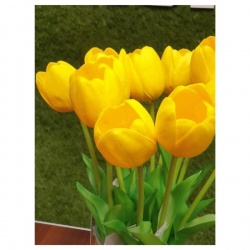 TULIPAN PIANKOWY - ŁODYGA GUMA 42CM PURE YELLOW