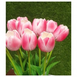 TULIPAN PIANKOWY - ŁODYGA GUMA 42CM BEAUTY PINK