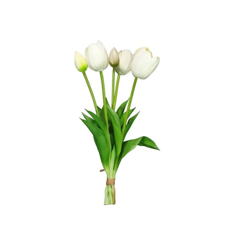 TULIPAN PIANKOWY – PĘCZEK 42CM WHITE CREAM