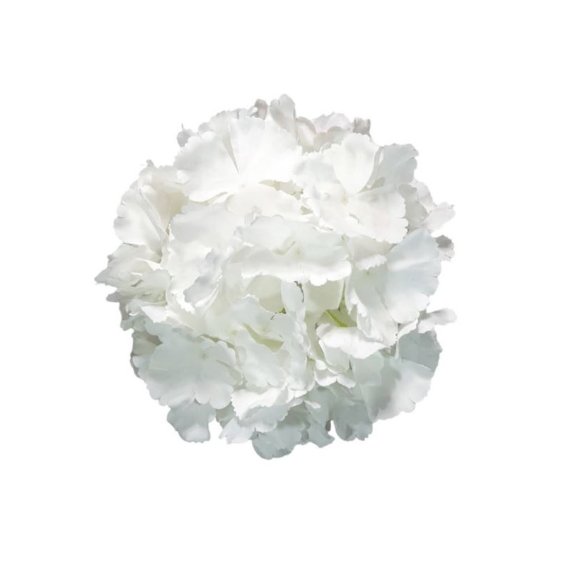 HORTENSJA DUŻA GŁOWA 22CM WHITE CREAM